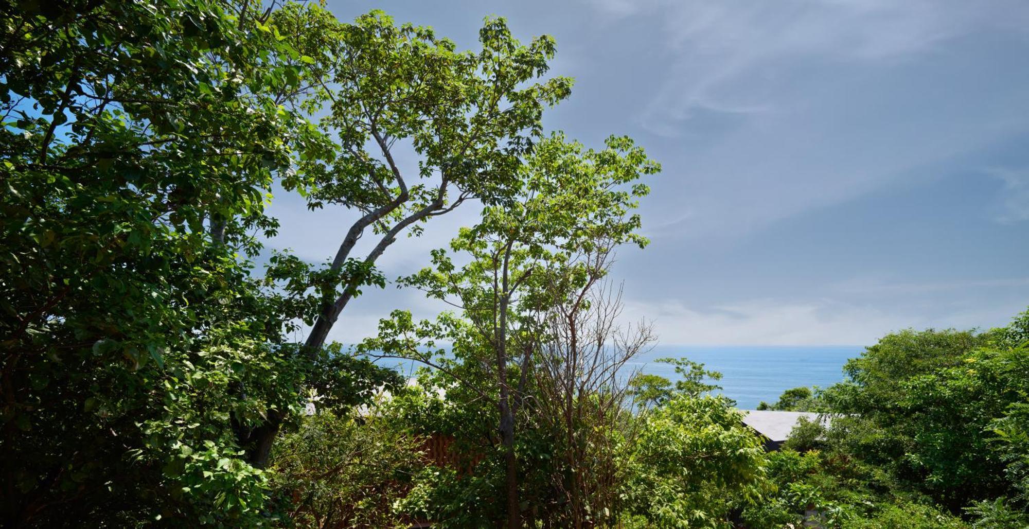 Cocolia Hotel Mazunte Bagian luar foto